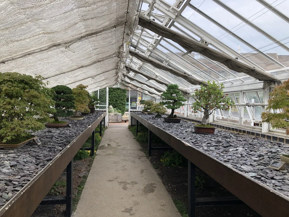 2025-London-Londen-伦敦